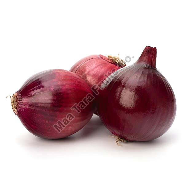 Fresh Nashik Onion, Packaging Size : 50 Kg