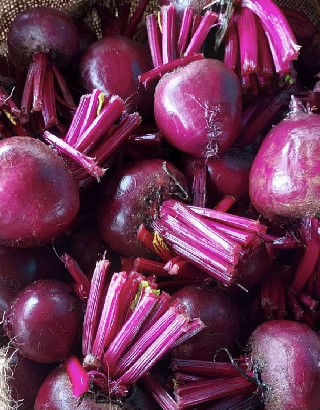 Common Beetroot, for Cooking, Salad, Feature : Healthy, Non Harmul