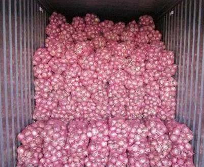Organic Fresh Bellary Onion, Feature : High Quality