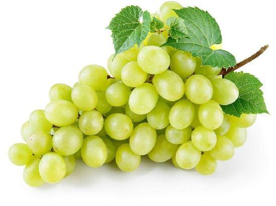 Organic Fresh Green Grapes, Specialities : Good For Nutritions, Good For Health