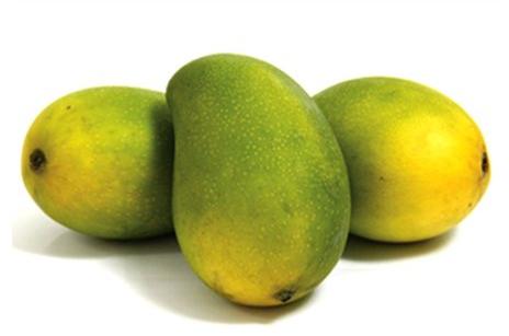 Organic Fresh Langra Mango, Color : Green
