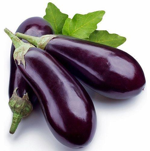 Organic Fresh Purple Brinjal, for Good Nutritions