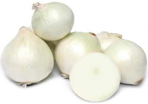 Organic Fresh White Onion, Shape : Round