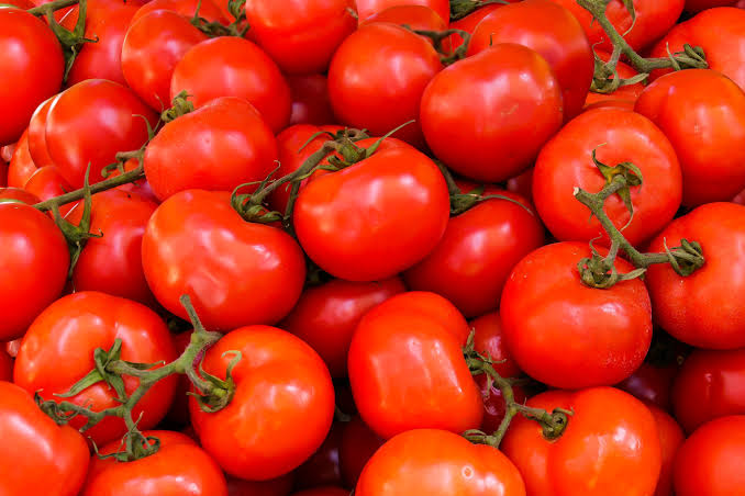 Common tomato, Packaging Size : 20/50kg