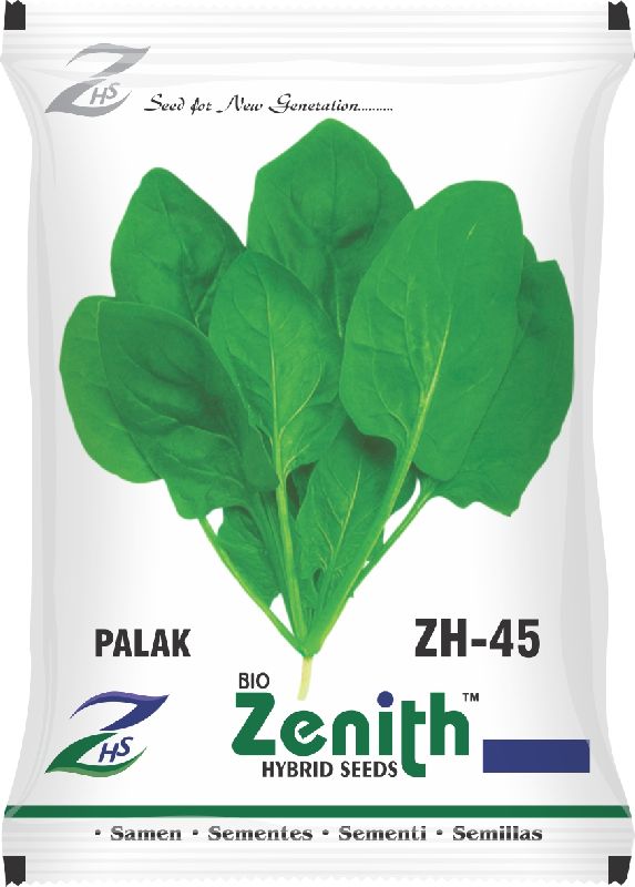 Green Natural Hybrid Spinach Seeds, for Agriculture, Style : Dried
