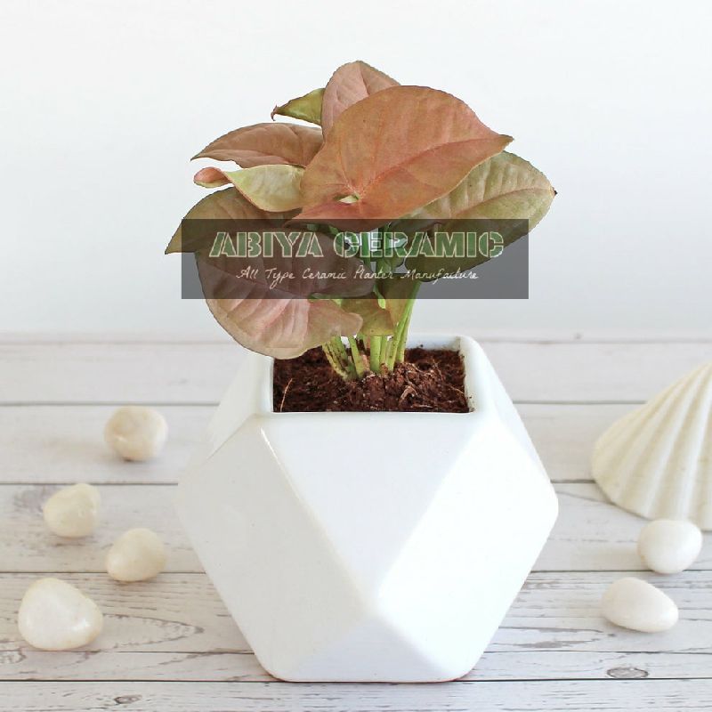 Rectangular Ceramic Geometric Planter, for Indoor Use, Decoration, Portable Style : Standing