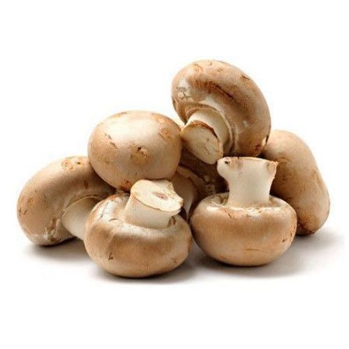 Fresh Brown Mushroom