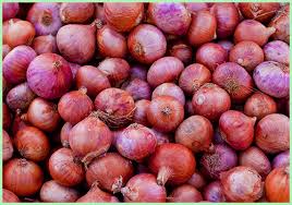 Natural fresh red onion, Size : Large, Medium, Packaging Type : Jute Bags,  Net Bags at Rs 10 / Kilogram in Surat