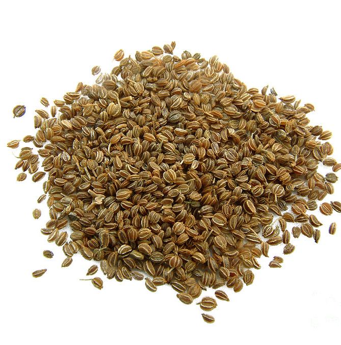 Celery Seeds, Usage : Cooking - Cadal Exim, Tirunelveli, Tamil Nadu