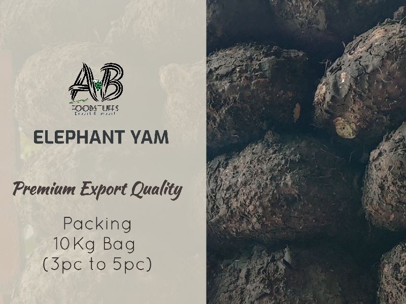 Brown Elephant Foot Yam, Packaging Type : Plastic Bag