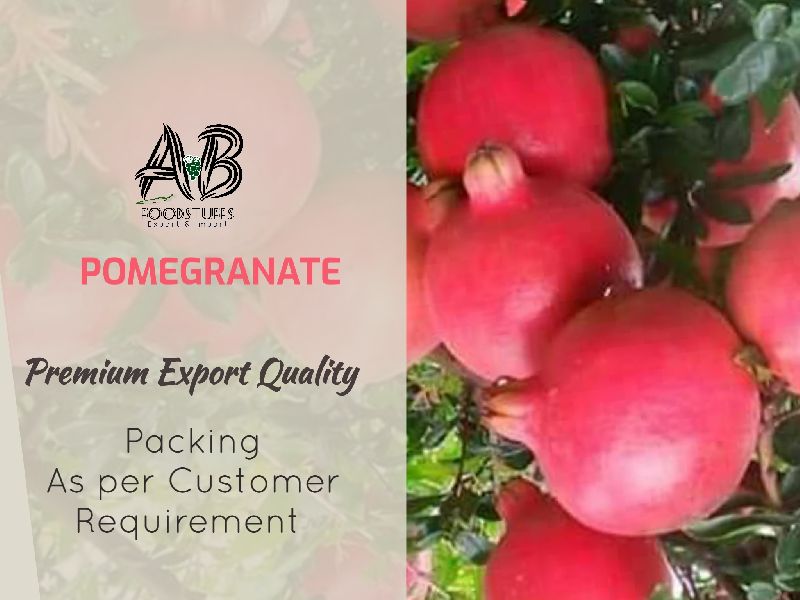 Pomegranate, Certification : FSSAI Certified
