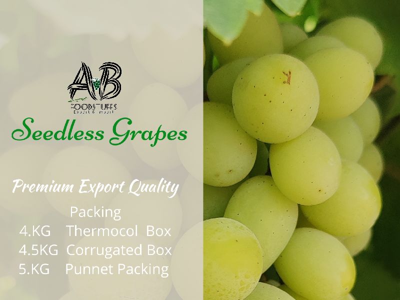 Green Seedless Grapes, for Cooking, Packaging Type : Plastic Pouch