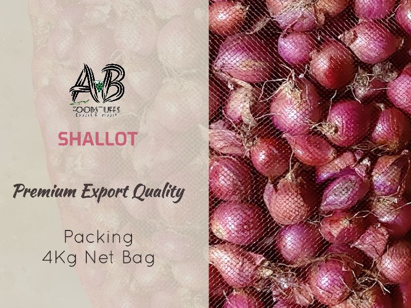 Shallots, Packaging Size : 1Kg