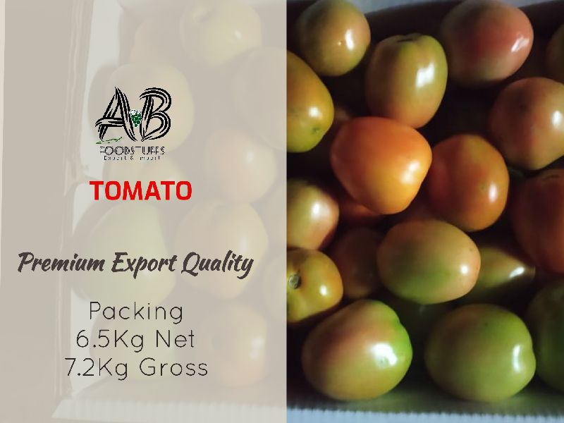 Tomato, Packaging Size : 5-10kg