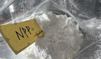 Nandrolone Compounds