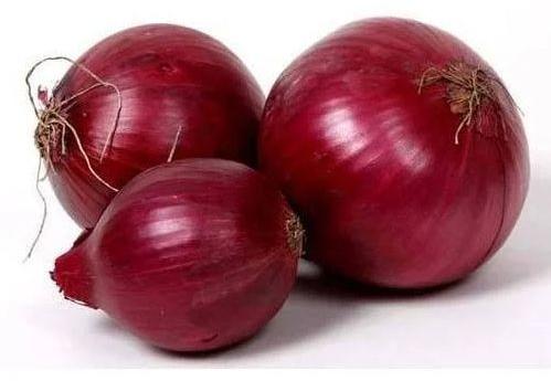 Fresh red onion, for Cooking, Human Consumption, Feature : Hygienically Packed