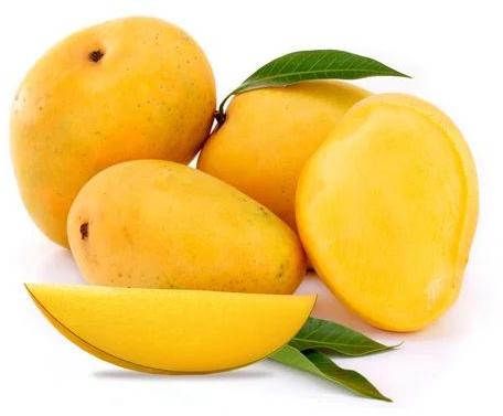 fresh alphonso mango