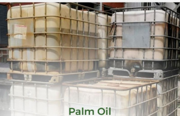 RBD Palm Oil