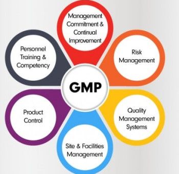 GMP Certification Consultancy