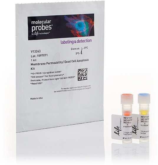 Invitrogen Vybrant Apoptosis Assay Kits for apoptotic and necrotic cell staining