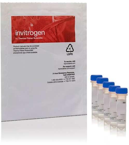 Invitrogen Yeast Mitochondrial Stain Sampler Kit