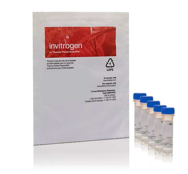 yeast mitochondrial stain sampler kit