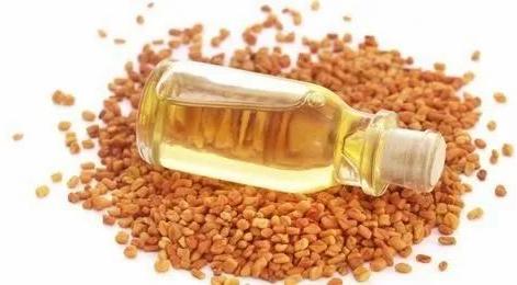 Fenugreek Seed Oil