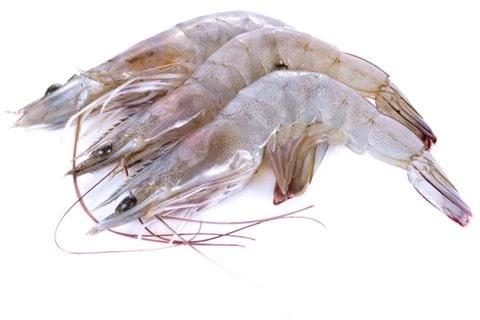 Raw Head-On Shell-On Vannamei Shrimp, for Household, Mess, Restaurant, Feature : Protein