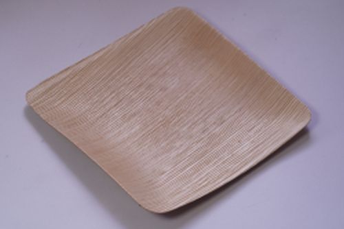 25x25 Areca Leaf Shallow Plate