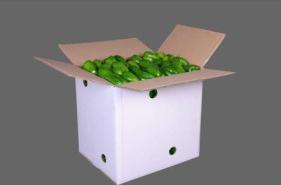 vegetable box