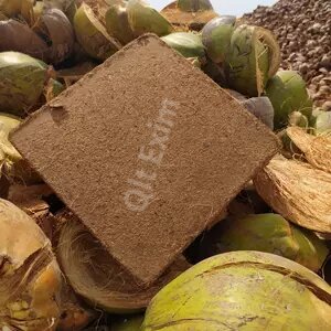 Coco peat blocks, for Agriculture Use