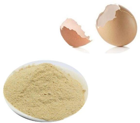 Natural Egg Shell Powder, Packaging Size : 1kg