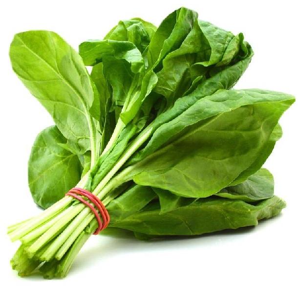 Natural Fresh Spinach, for Human Consumption, Cooking, Packaging Type : Plastic Packet