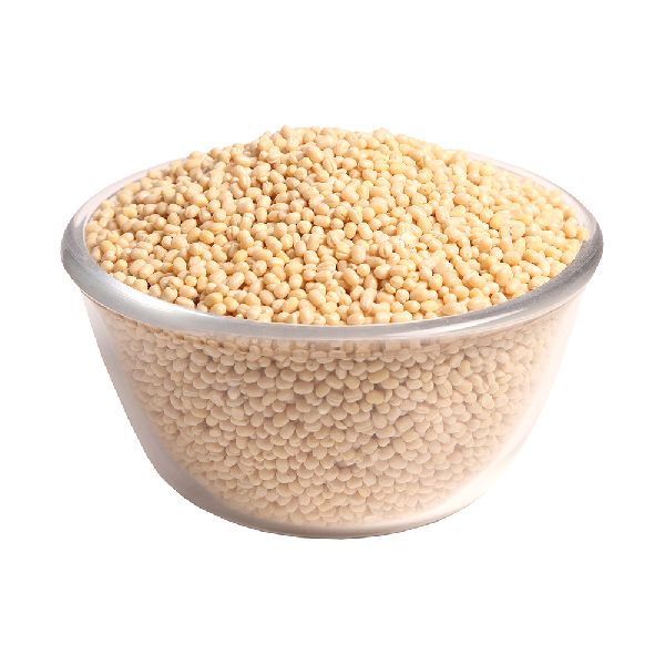 Organic Whole White Urad Dal, for High in Protein