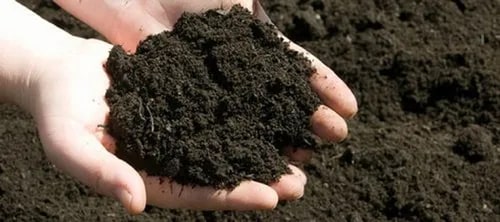 Organic manure, for Agriculture, Purity : 99%