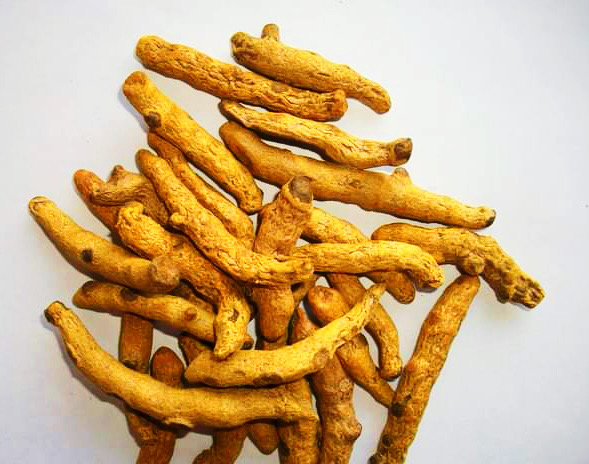 Yellow Solid Long Turmeric, For Puja, Worship, Culinary, Feature : Natural