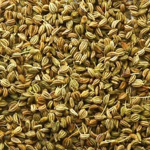 Raw Common Ajwain Seed, for Food Medicine, Spices, Cooking, Packaging Type : Plastic Packet