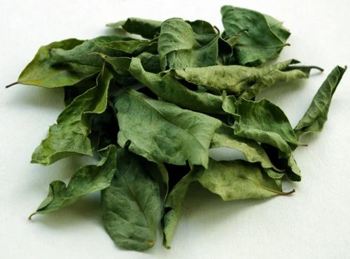 Organic Dried Curry Leaves, Certification : FSSAI Certified