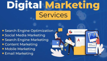 Seo service