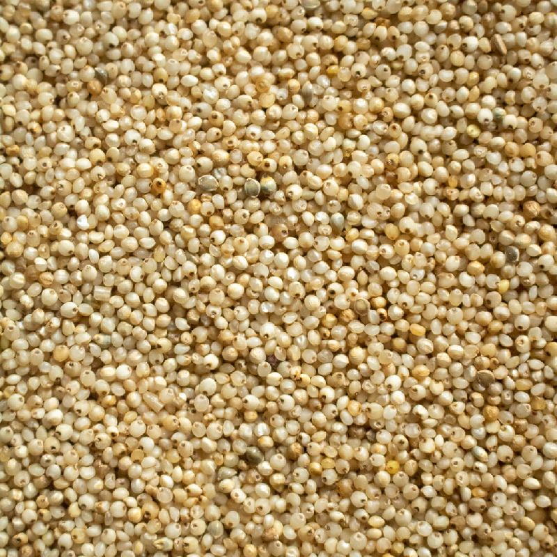SPT barnyard millet, Packaging Size : 25kgs