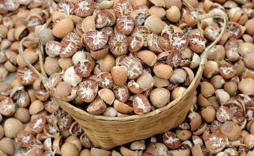 Organic betel nuts, for Ayurvedic Formulation, Chinese Medicines, Cooking, Food, Herbal, Herbal Formulation
