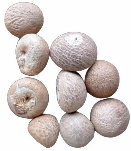 Organic Betel Nuts Dried Raas, for Ayurvedic Formulation, Chinese Medicines, Cooking, Food, Herbal, Herbal Formulation