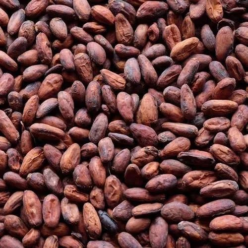 cocoa coffee beans