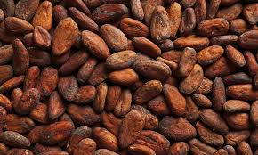 Cocoa seeds, for Bakery, Cosmetic