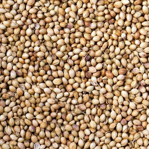 organic coriander seeds