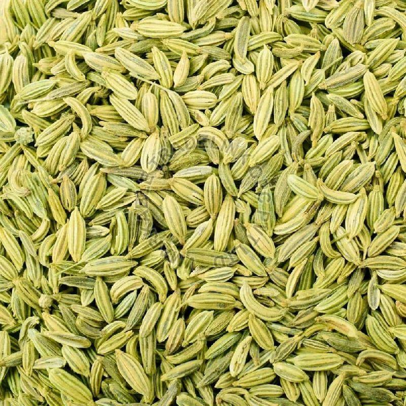 Organic Fennel Seeds Vmarkable Tradelink OPC Pvt Ltd, Ahmednagar