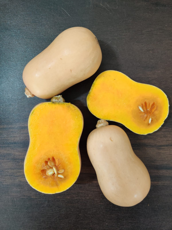 Butternut Squash, For Cooking, Color Yellow Growloc, Pune, Maharashtra
