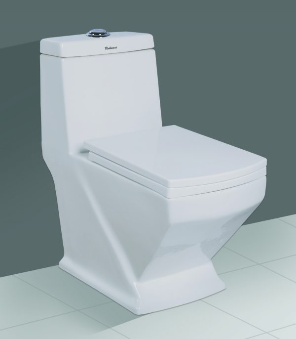 104 One Piece European Water Closet, Available Colors Ivory, White
