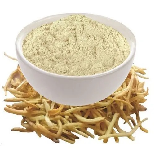 Safed Musli Powder, for Medicine Use, Variety : Herbal - Health Cherish ...