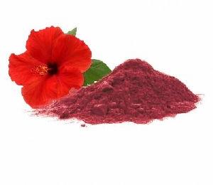 Dried Hibiscus Flower Manufacturer Supplier from Pali India